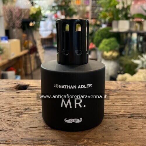 Lampe Berger Mr.